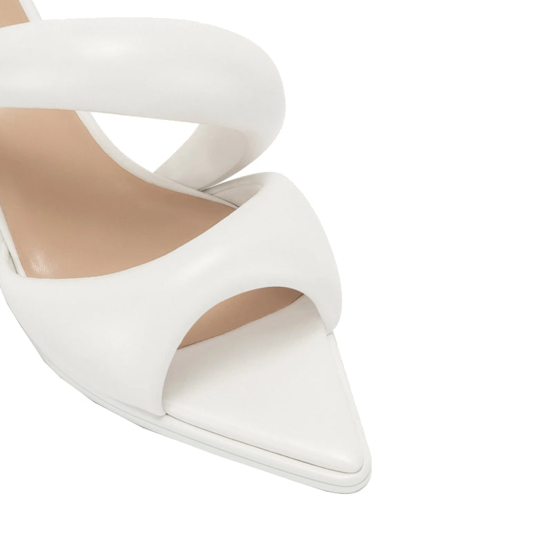 Mule Sara – JW PEI