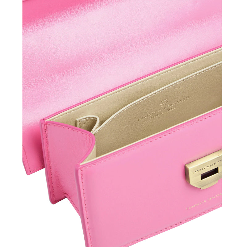 Thea Mini Handbag – Tammy & Benjamin